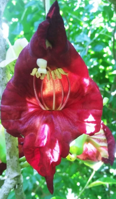 Punta Gorda, FL 33982