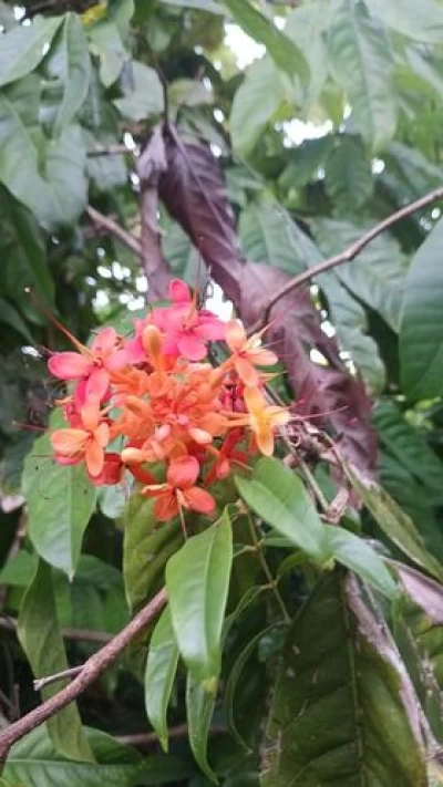 Punta Gorda, FL 33982