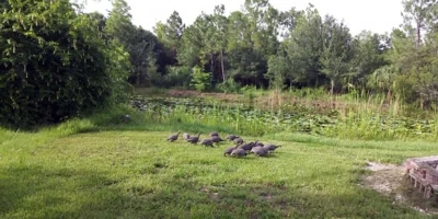 Punta Gorda, FL 33982