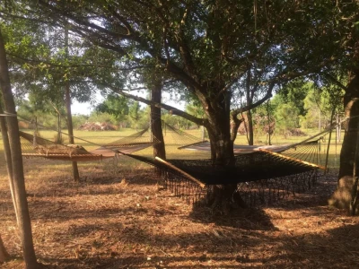 Punta Gorda, FL 33982